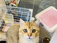 -萌兽医馆·眼科·异宠专科(三里屯店)