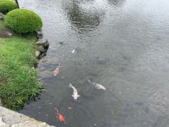 -水前寺成趣园
