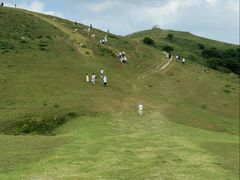 -大姆山草场