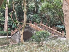-火炉山森林公园