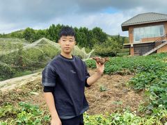 -大连北马山庄