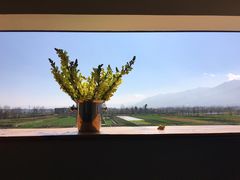 -翠田Green Field Kitchen