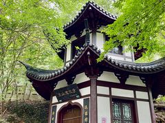 -上海佘山国家森林公园西佘山园