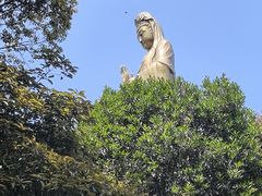 -洲晓鲜·舟山海鲜大排档(朱家尖风景区店)
