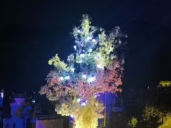 -婺源梦里老家大型山水实景演出