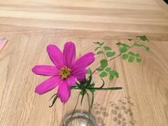 -Home Cafe(水榭春天店)