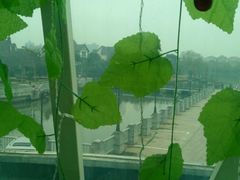 景观位-翠晶水上餐厅(泰晤士小镇店)