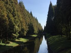 -黄海国家森林公园