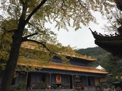 -普陀山风景名胜区-法雨禅寺