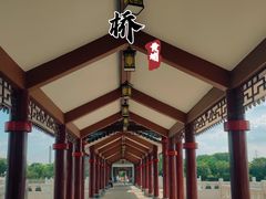 -长洲岛