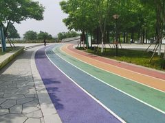 -贡湖湾湿地公园