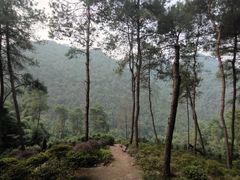 -南山植物园