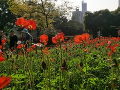 -晓港公园