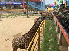 -西霞口神雕山野生动物世界