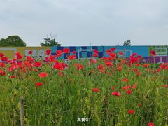 -嘉北郊野公园