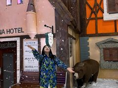 -世界之窗阿尔卑斯冰雪世界
