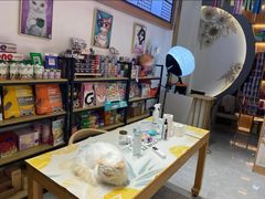 -山宅一喵德文卷毛猫舍