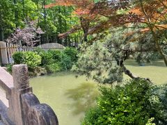 -上海醉白池公园
