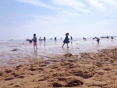 -前王院•巧克力海鲜市集餐厅(万平口店)