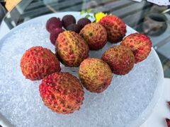 -浦江二号·独栋江景餐厅(滨江大道店)