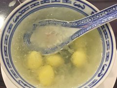 -大中鱼翅 Taitong Shark Fin