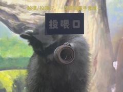 -大连圣亚海洋世界