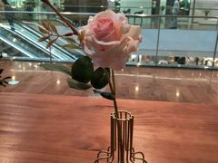 -POKEE VIA&Brunch·维娅(重庆来福士店)