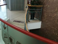 -上海市第一人民医院(松江南部)