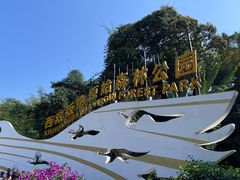 -西双版纳原始森林公园