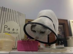 -青沐画室·专业美术培训