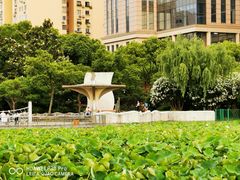 -黄兴公园