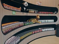 -涨巢·潮玩水疗局