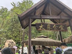-野象谷景区