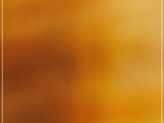 -顺旺基大厨现炒(哥伦布店)