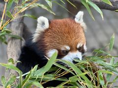 -常州淹城野生动物世界