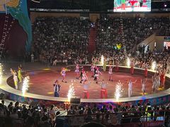 -俄罗斯国家大马戏团