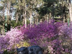 -哈尔滨北方森林动物园