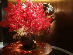 大堂-秀儿四九城·新京菜(亚运村鸟巢店)