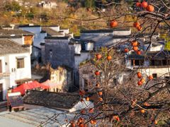 -塔川景区