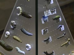 -吴绫丝绸(旧学前店)