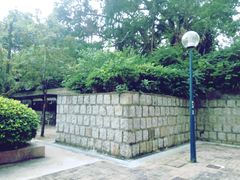 -九龙公园