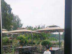 -蘇河湾·新鲁菜·泰山宴(泰山店)