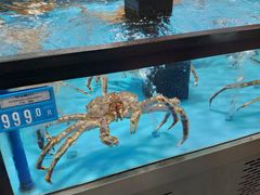 -麦德龙(郑东店)