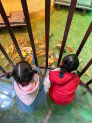 -酷嗒动物文化乐园(cutezoo西溪乐天城店)