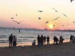 -老虎石海上公园