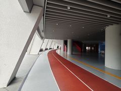 -深圳市体育中心体育馆主馆