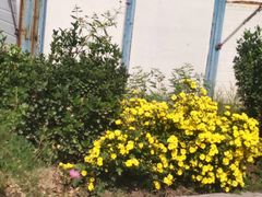 -河北省园博园