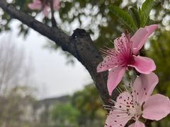 -沐仙湖湿地公园