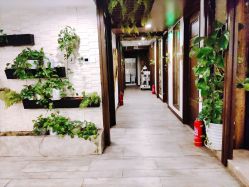 -青青一生美皮肤管理