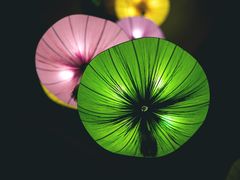 包房-写庭·鱼鲜川菜·宴请(铁像寺水街店)
